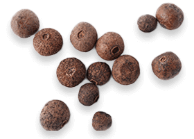 BioPerine natural ingredient in Joint Genesis joint health supplement